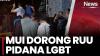 MUI Godok RUU Pidana LGBT untuk Prolegnas DPR