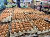 Pemerintah Tetapkan Harga Telur Ayam Rp24.000 di Tingkat Peternak - Bagian 4