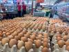 Pemerintah Tetapkan Harga Telur Ayam Rp24.000 di Tingkat Peternak - Bagian 3