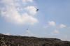 Kebakaran TPA Jatiwaringin Masuk Hari ke-10, Helikopter Water Bombing Masih Beroperasi - Bagian 1