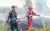 Kebakaran Lahan di Pulang Pisau Kembali Meluas, Pemadaman Terkendala Air
