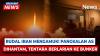 Detik-Detik Mencekam! Rudal Iran Hantam Pangkalan AS di Yordania, Tentara Berlarian Masuk Bunker 