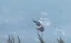 Tragis! 2 Helikopter Pemadam Kebakaran Tabrakan di Udara saat Bertugas