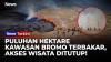 Kebakaran Bromo Hari Ketiga, 51 Hektare Hutan dan Sabana Hangus Terbakar