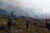 Kawasan Gunung Bromo Terbakar hingga 60 Hektare, Jalur Wisata Ditutup Sementara