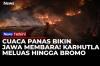 Pulau Jawa Dikepung Karhutla! Gunung Gede Pangrango hingga Bromo Dilanda Kebakaran