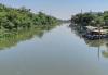 Bikin Resah! Buaya Muara Kerap Ikuti Perahu di Sungai Bluru Kidul Sidoarjo