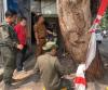 Viral Belasan Pohon di Cikutra Bandung Dikuliti OTK, DLH Turun Tangan