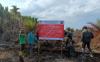 Kemenhut Usut Karhutla Hutan Produksi di Musi Banyuasin, Langsung Segel Lahan