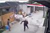 Ngeri! Terekam Video Anjing Pitbull Lepas Gigit Anak Perempuan 9 Tahun di Bandung
