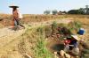 Kekeringan di Jonggol, Warga Terpaksa Menimba Air dari Kubangan Bekas Sawah - Bagian 2