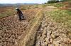 Kekeringan di Jonggol, Warga Terpaksa Menimba Air dari Kubangan Bekas Sawah - Bagian 6