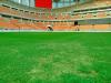 Rumput JIS Tak Merata Jelang Persija Vs Brisbane Roar, Ada Perbedaan Mencolok