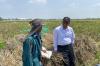 Cegah Kekeringan Sawah di Karawang, Ini Langkah Mentan Amran
