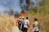 Karhutla di Mamasa Sulbar Hanguskan 5 Ha Lahan, Petugas Berjibaku Padamkan Api