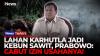 Prabowo Geram Lahan Bekas Karhutla Jadi Kebun Sawit! Terbukti Melanggar HGU dan Izin Dicabut