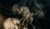 Berapa Lama Vape dan Asap Rokok Bertahan di Udara? Penelitian Ungkap Fakta Ini