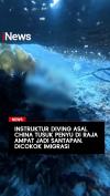 Instruktur Diving asal China Diamankan Imigrasi usai Viral Tusuk Penyu di Raja Ampat