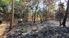 Tragis! Bakar Ranting dan Dahan Kering di Lahan, Lansia di Cirebon Tewas Dilalap Api