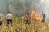 Kebakaran Lahan Terbakar di Halmahera Timur, Brimob Gerak Cepat Padamkan Api