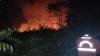 Karhutla Kalimantan Belum Padam, Petugas Hadapi Kendala Akses dan Air