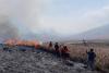 BNPB: 4 Petugas Gugur saat Padamkan Karhutla Bromo