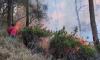 Gunung Arjuno Terbakar! Kobaran Api Terlihat Jelas dari Permukiman Warga sejauh 15 Km
