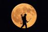 Fenomena Hunter’s Moon Muncul 26 Oktober, Ini Waktu Terbaik Melihatnya
