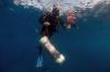 Ilmuwan Berburu Lionfish untuk Selamatkan Spesies Ikan Laut - Bagian 5
