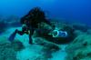 Ilmuwan Berburu Lionfish untuk Selamatkan Spesies Ikan Laut - Bagian 2