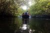 Jelajah Hutan Bakau Pulau Bintan - Bagian 1