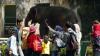 Jadi Tempat Wisata Favorit, Ragunan Dikunjungi Ribuan Orang - Bagian 3
