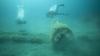 Foto Bangkai Pesawat Tempur AS yang Ditembak Jatuh di Laut Prancis - Bagian 2