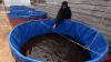Perempuan-Perempuan Ini Budidaya Lele di Kolam Ikan Biofoloc - Bagian 3
