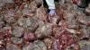 4,6 Ton Daging Celeng Ilegal Dimusnahkan - Bagian 4