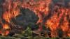 Foto-Foto Kebakaran Hutan di Yunani, 74 Orang Tewas  - Bagian 1