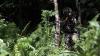 450 Prajurit TNI Penjaga Perbatasan Latihan Tempur di Tengah Hutan - Bagian 3