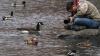 Tampilan Mencolok Bebek Mandarin Jadi Pusat Perhatian Warga New York - Bagian 5