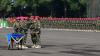 KSAL Pimpin Upacara Sertijab Komandan Korps Marinir - Bagian 3