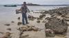 Sadis, Rusa-Rusa Hasil Perburuan Ilegal Ini Tergeletak di Pinggir Pantai - Bagian 1
