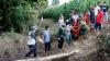 Momen Pelepasan Orangutan ke Alam Liar di Suaka Margasatwa Singkil - Bagian 3