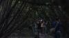 Memantau Spesies Burung di Hutan Lindung Angke Kapuk - Bagian 4