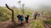 Menikmati Keindahan Alam dari Puncak Gunung Merbabu - Bagian 6