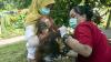 BKSDA Kalbar Evakuasi Orangutan dengan Kondisi Leher Terikat dari Rumah Warga - Bagian 1