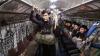 Ini Foto Langka Pesona Permaisuri Thailand yang Jadi Pilot Pesawat Tempur - Bagian 5