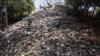 Penampakan Tumpukan Sampah Menggunung di Bantaran Sungai Ciliwung - Bagian 1