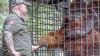 PSO Arsari, Pusat Suaka untuk Orangutan di Kalimantan Timur - Bagian 1
