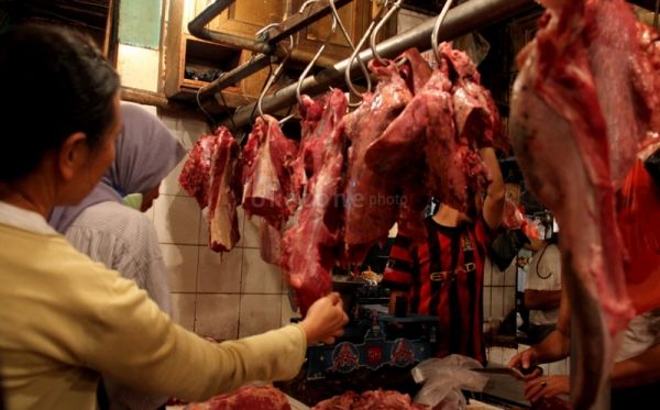Harga Daging Sapi Mahal, Pemerintah Diminta Benahi Tata Niaga