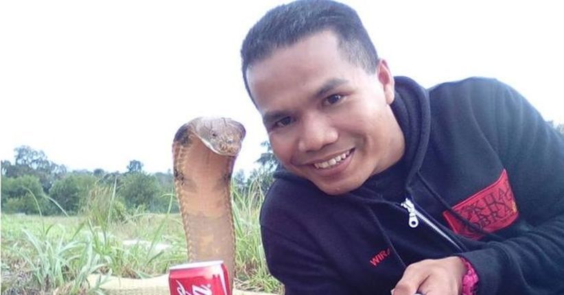 Tragis, Selebriti 'Pembisik Ular' Malaysia Tewas Digigit Kobra