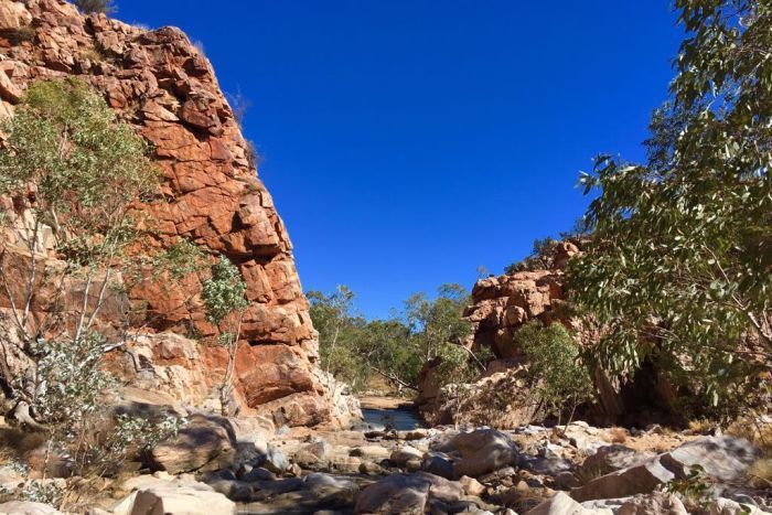 Salah Jalur, Pria AS Tewas saat Mendaki Gunung di Australia